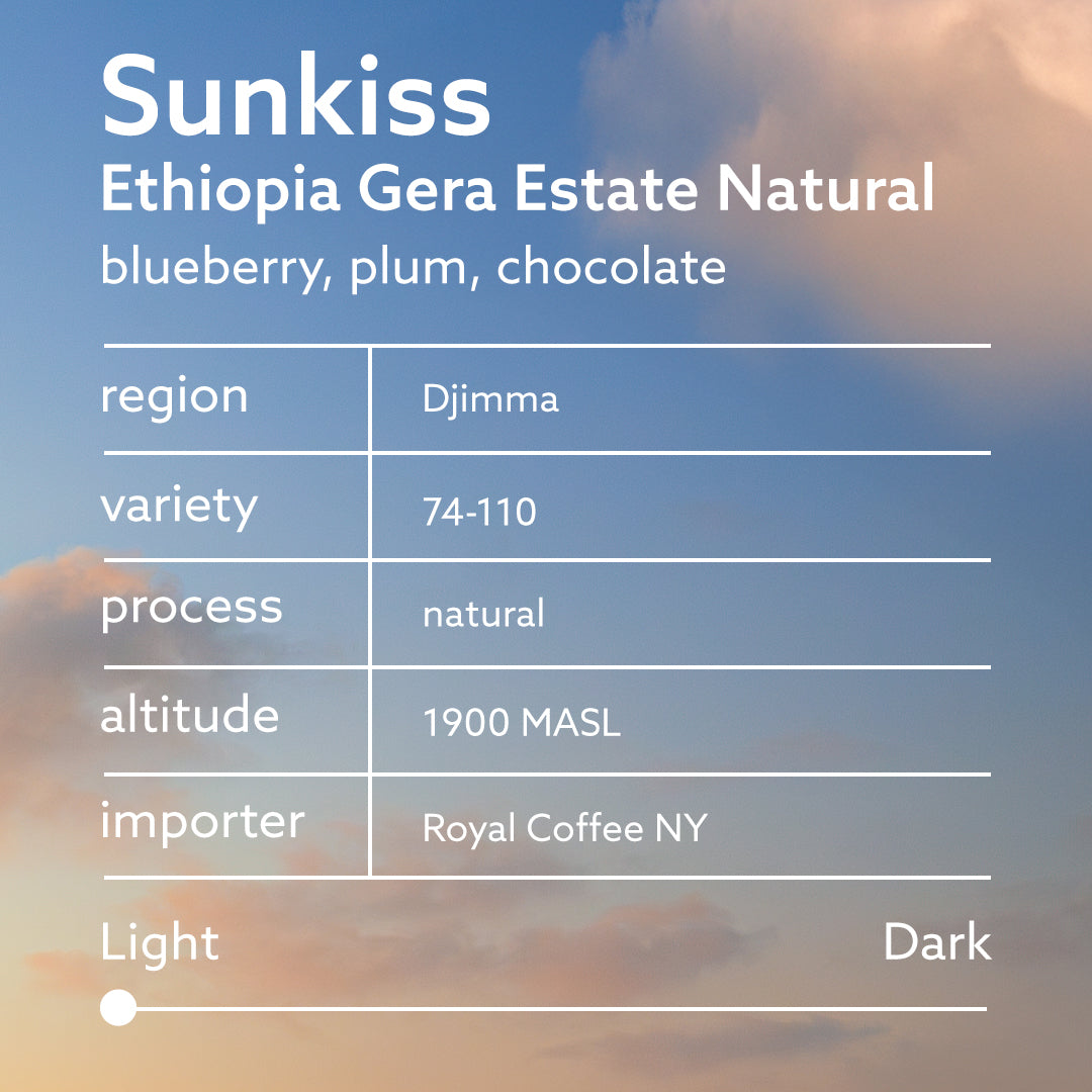 Sunkiss - Ethiopia Gera Estate Natural